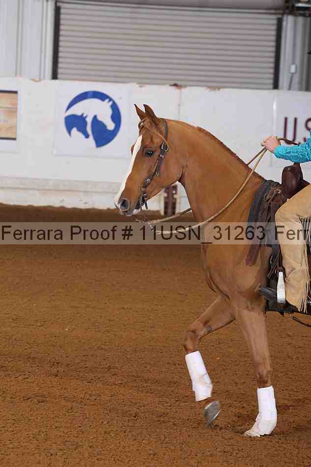 Proof 11usn_31263