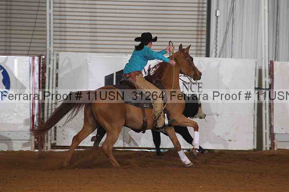 Proof 11usn_31264