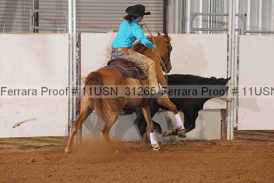 Proof 11usn_31265
