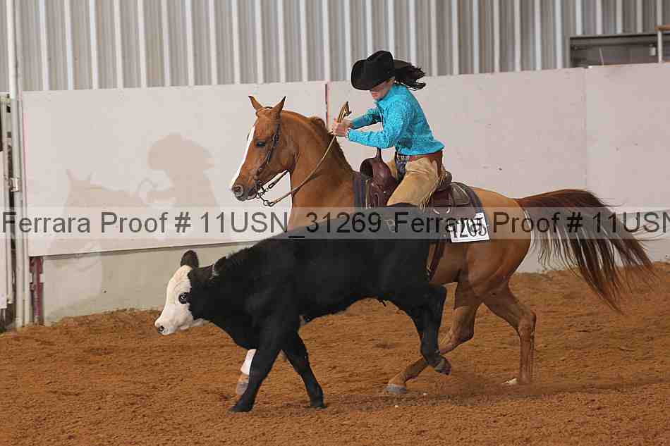 Proof 11usn_31269