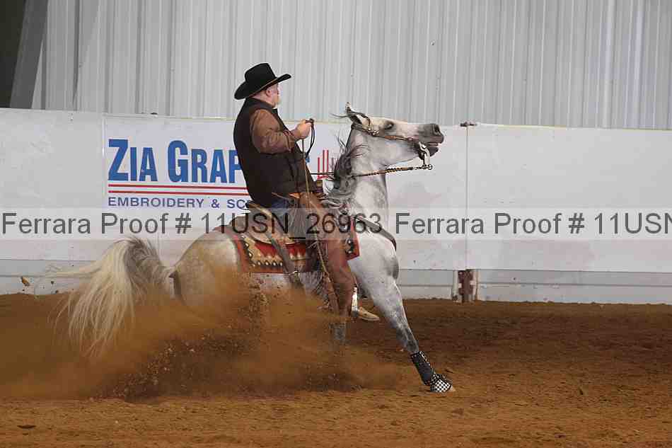 Proof 11usn_26963