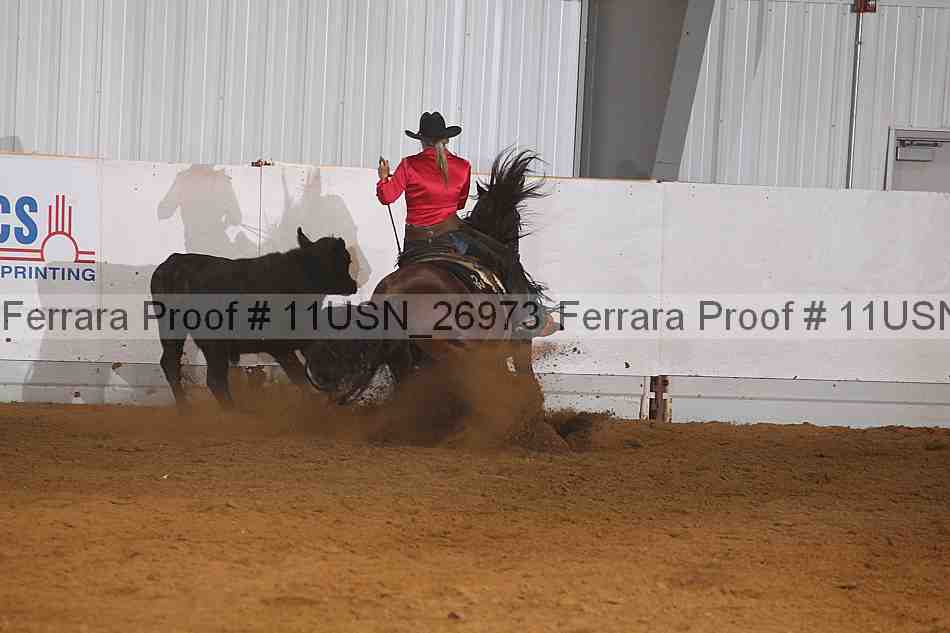 Proof 11usn_26973