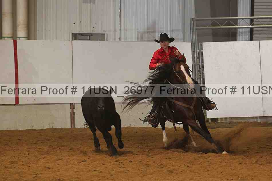 Proof 11usn_26977