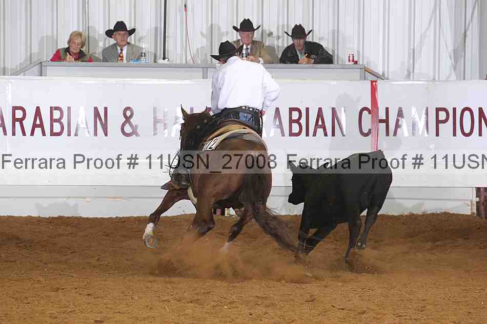 Proof 11usn_27008