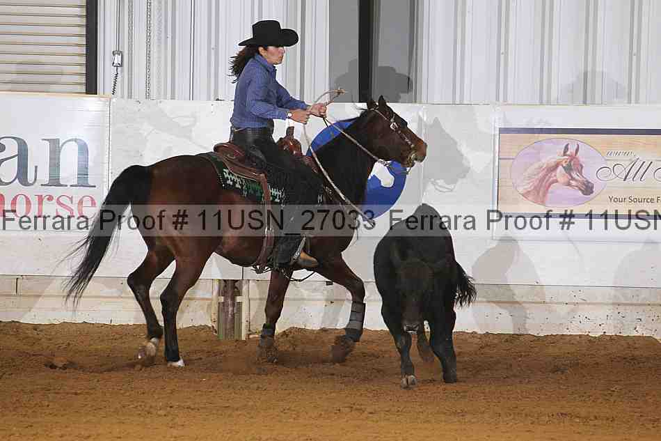 Proof 11usn_27033