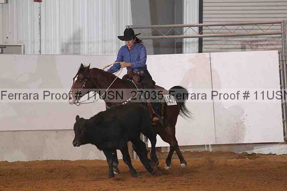Proof 11usn_27035