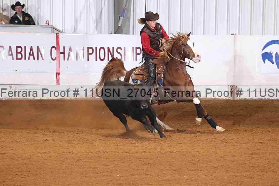 Proof 11usn_27045