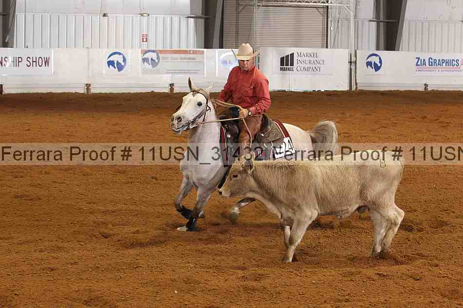 Proof 11usn_31432