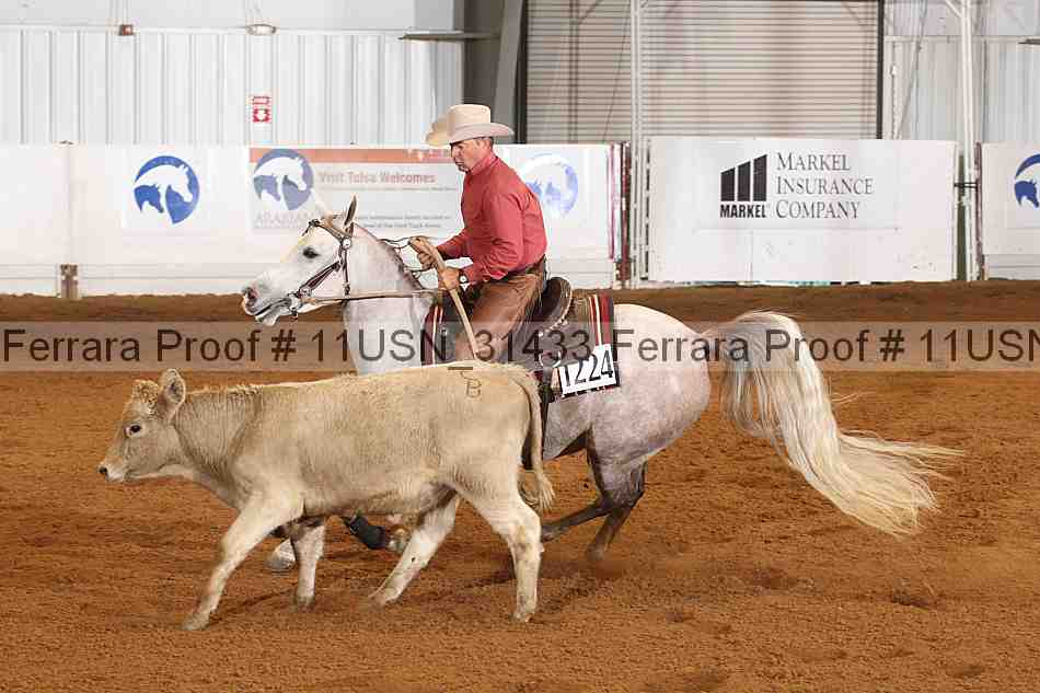 Proof 11usn_31433