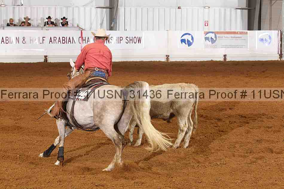 Proof 11usn_31436