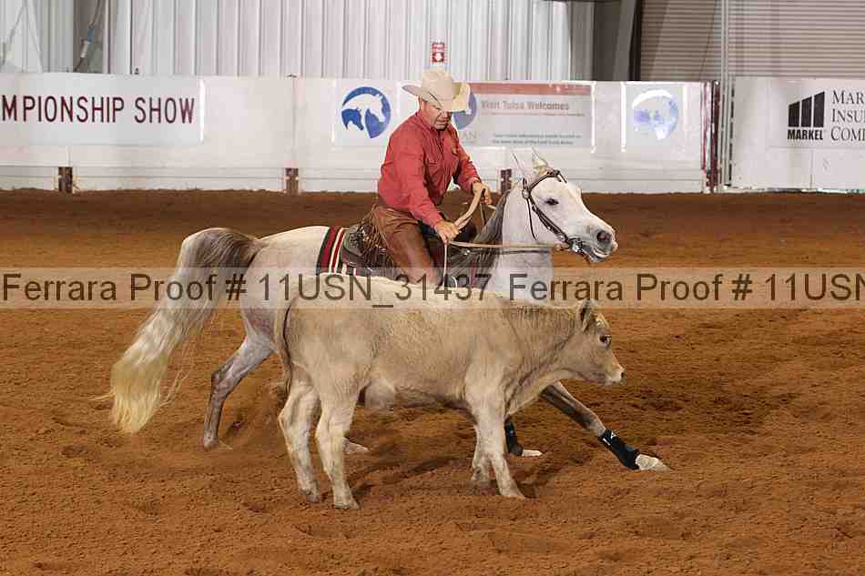 Proof 11usn_31437