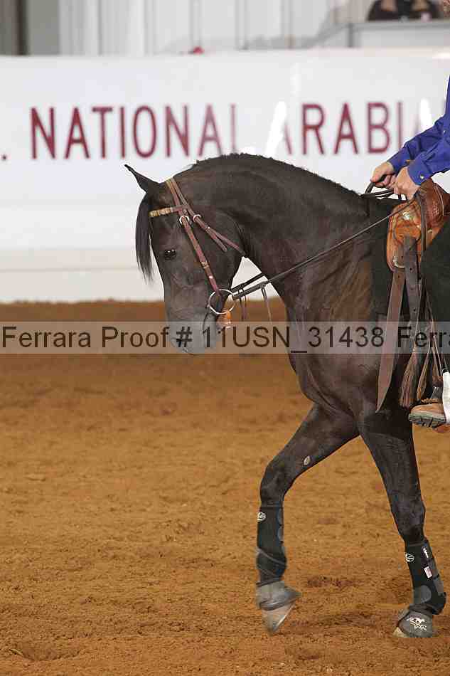 Proof 11usn_31438