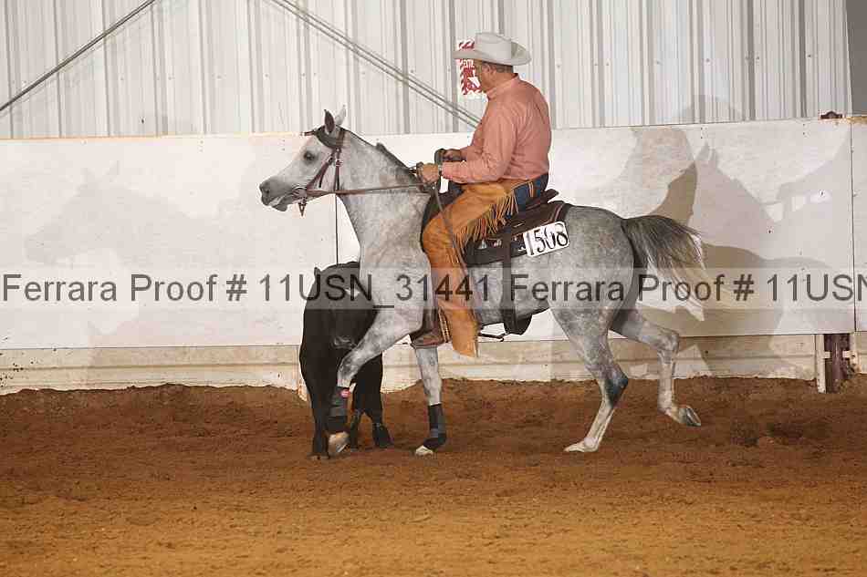 Proof 11usn_31441