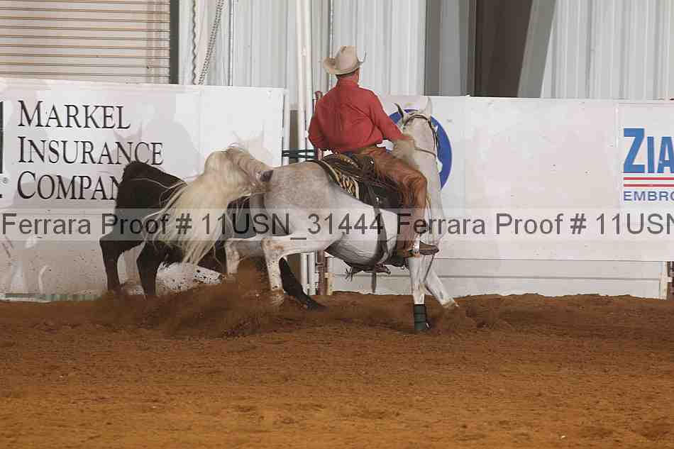 Proof 11usn_31444