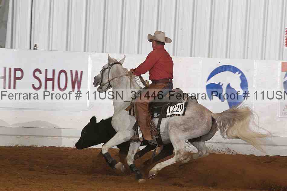 Proof 11usn_31446