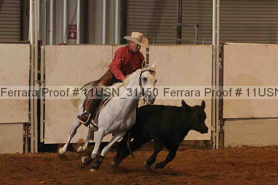 Proof 11usn_31450