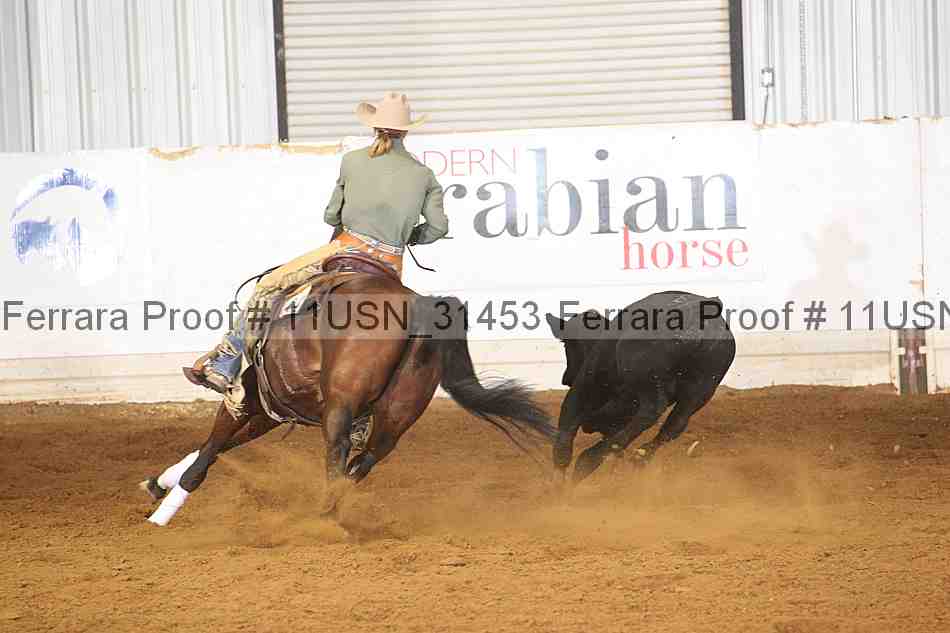 Proof 11usn_31453