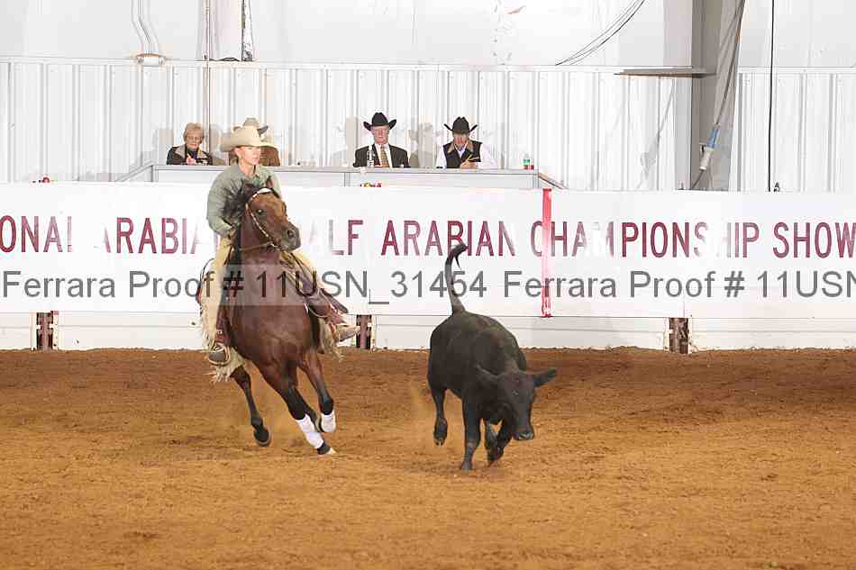 Proof 11usn_31454