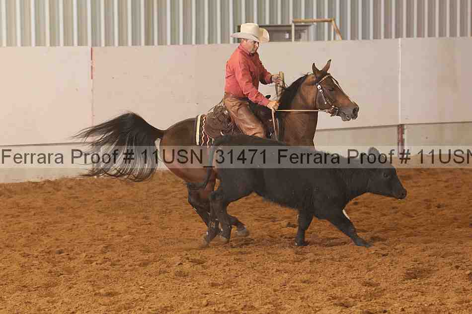 Proof 11usn_31471