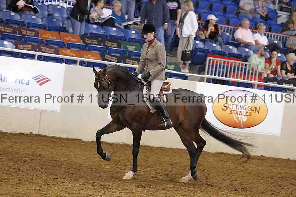 Proof 11usn_15033