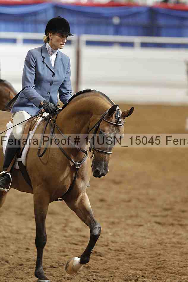 Proof 11usn_15045