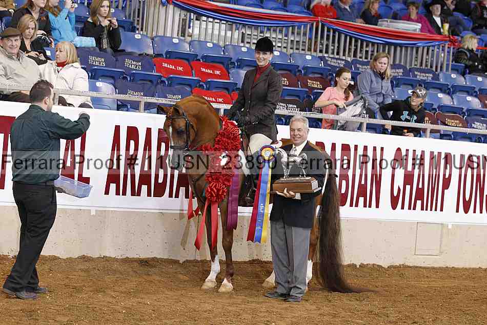 Proof 11usn_23890