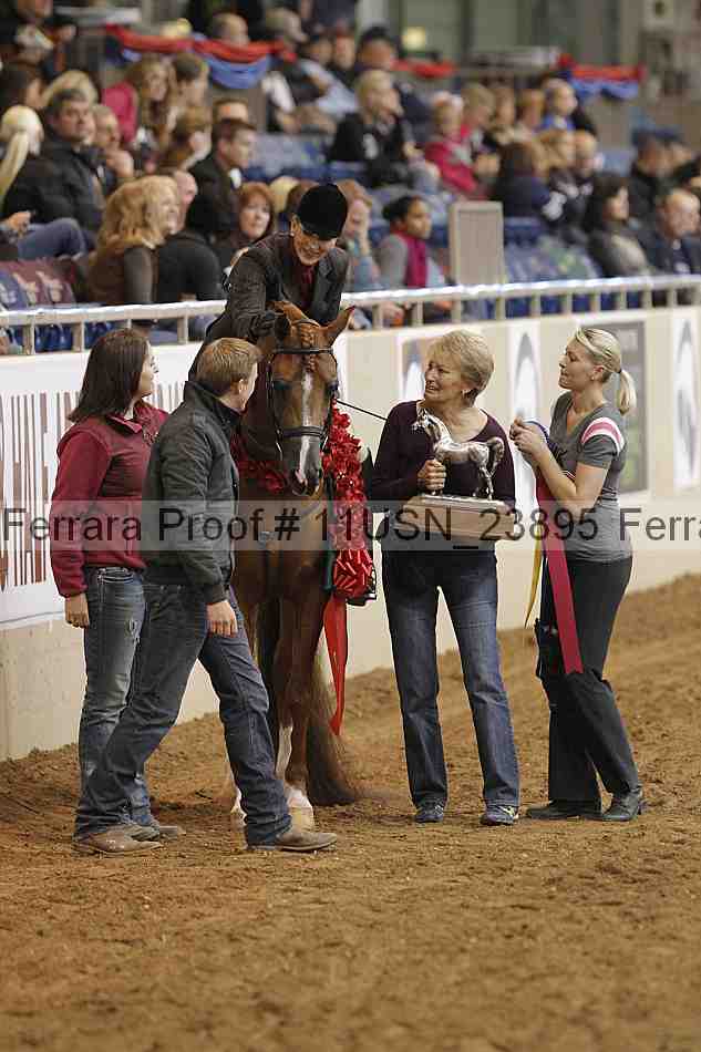 Proof 11usn_23895