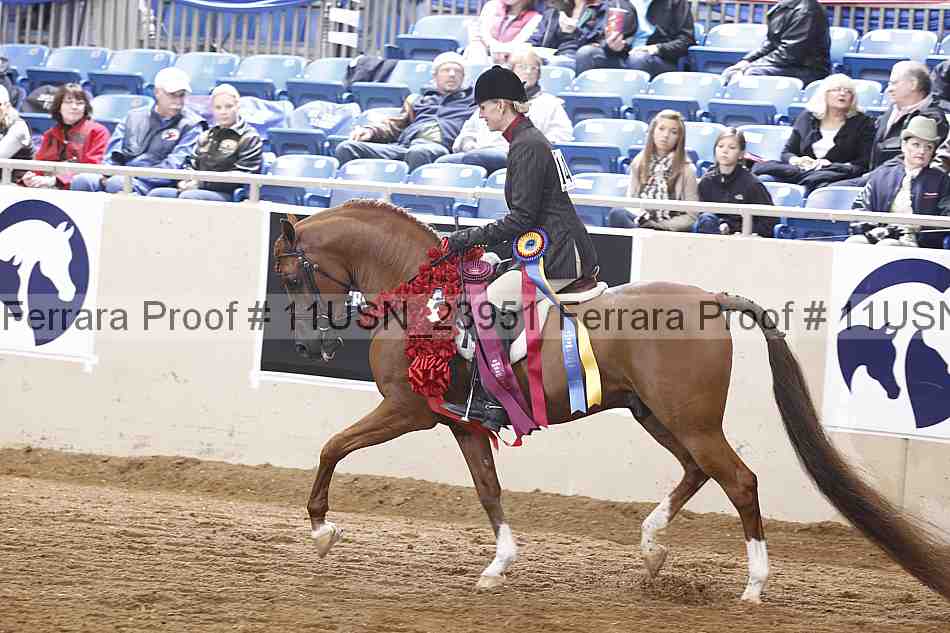 Proof 11usn_23951