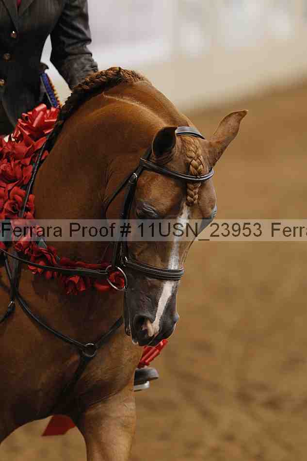 Proof 11usn_23953