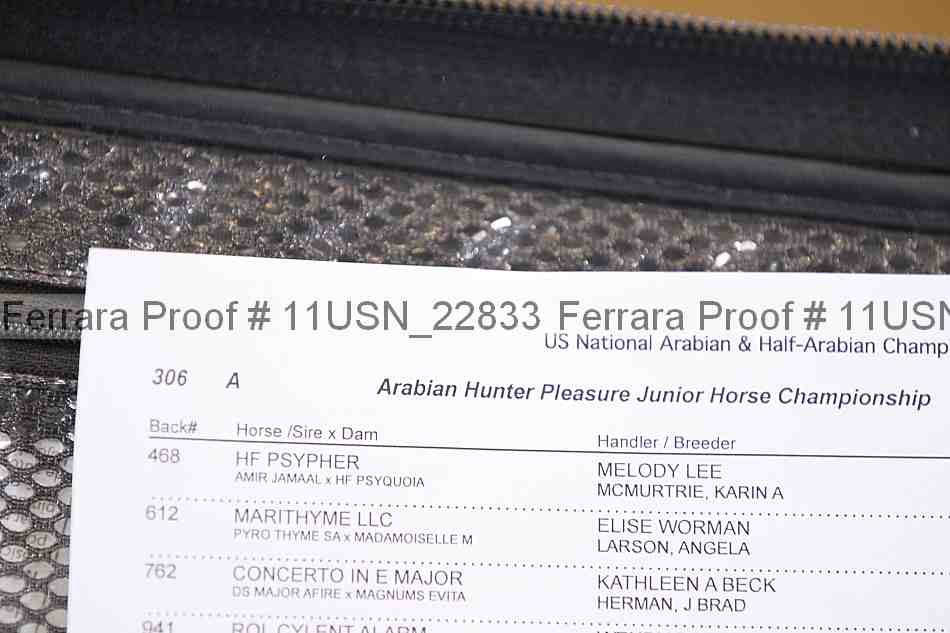 Proof 11usn_22833