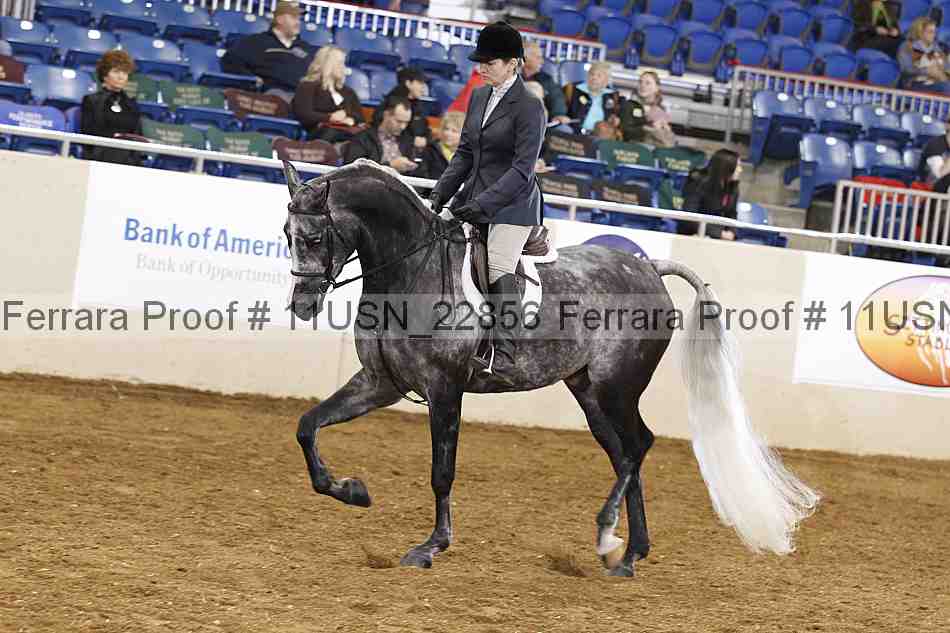 Proof 11usn_22856