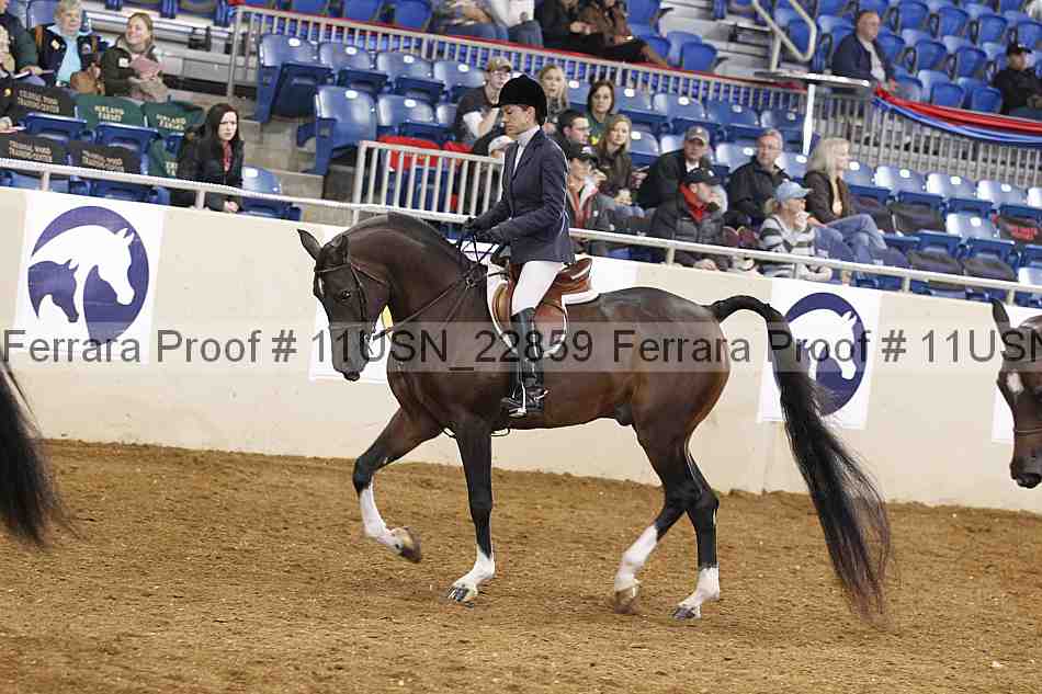Proof 11usn_22859