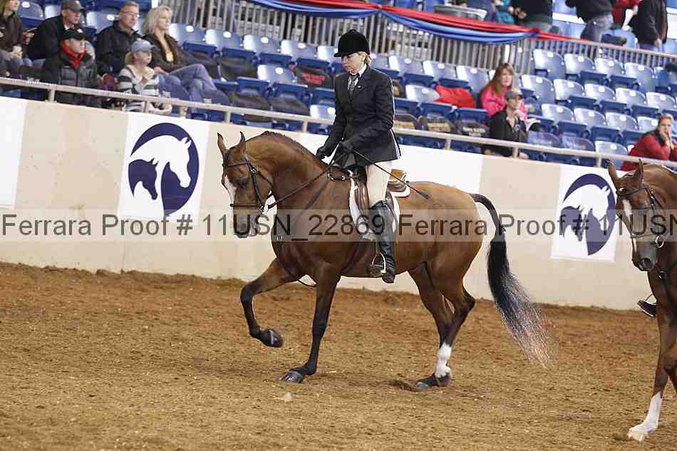 Proof 11usn_22869