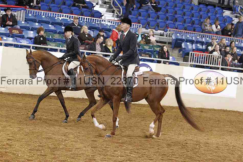 Proof 11usn_22870