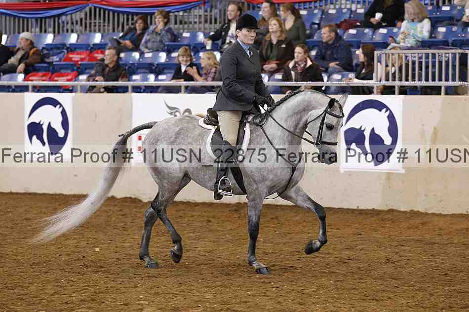 Proof 11usn_22875