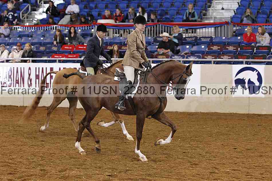 Proof 11usn_22880