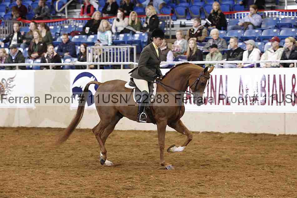 Proof 11usn_22888