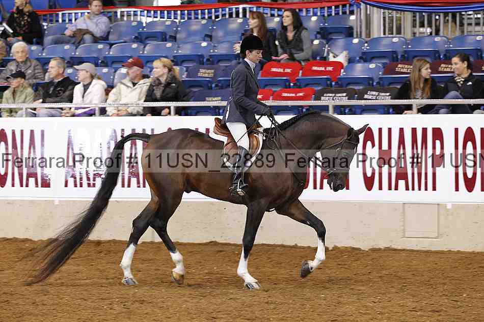 Proof 11usn_22889