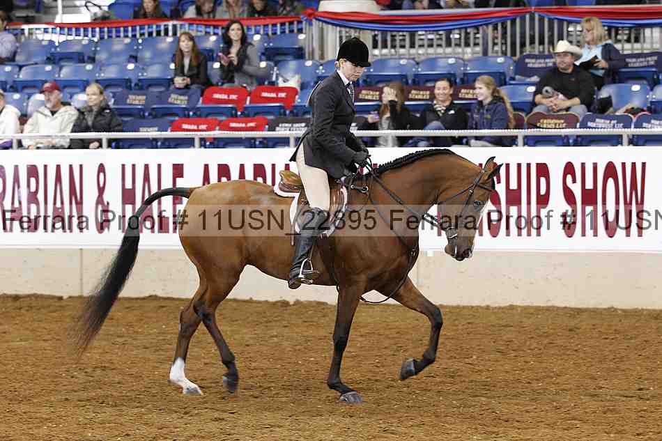 Proof 11usn_22895