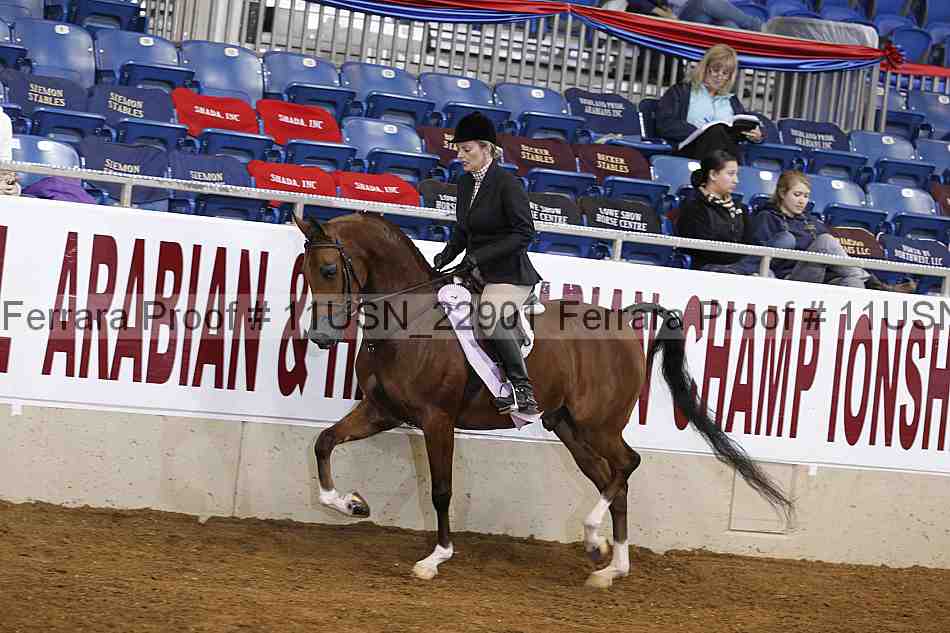 Proof 11usn_22901