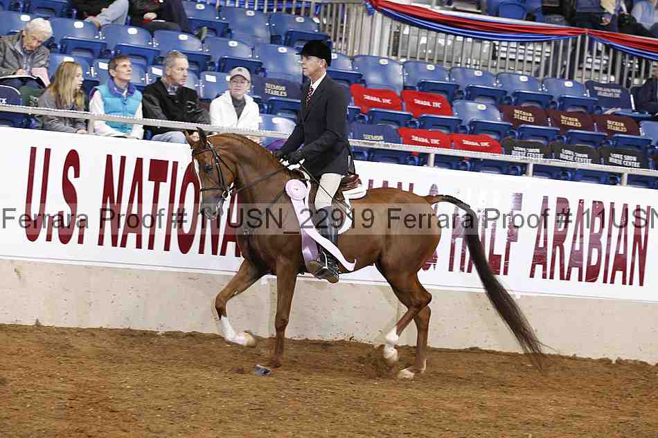 Proof 11usn_22919