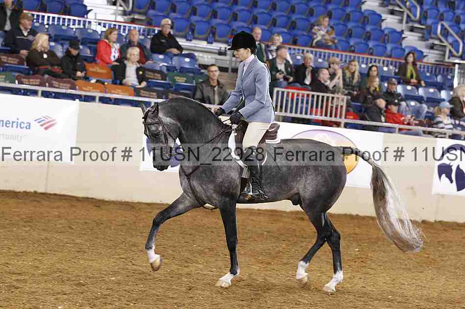 Proof 11usn_22928