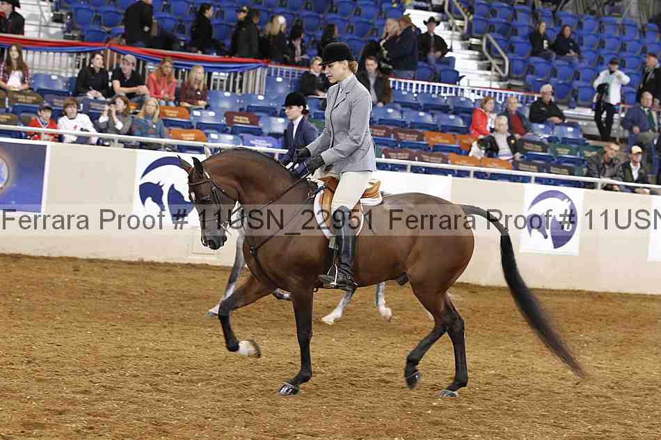 Proof 11usn_22951