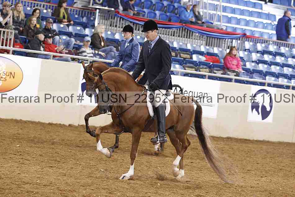 Proof 11usn_22952