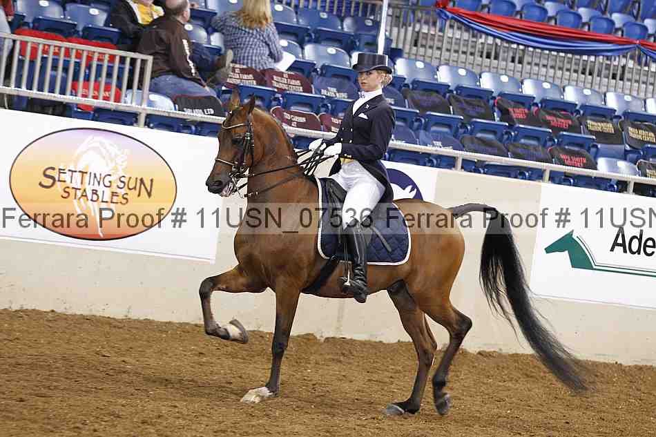 Proof 11usn_07536