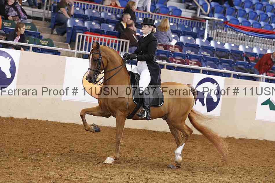 Proof 11usn_07537