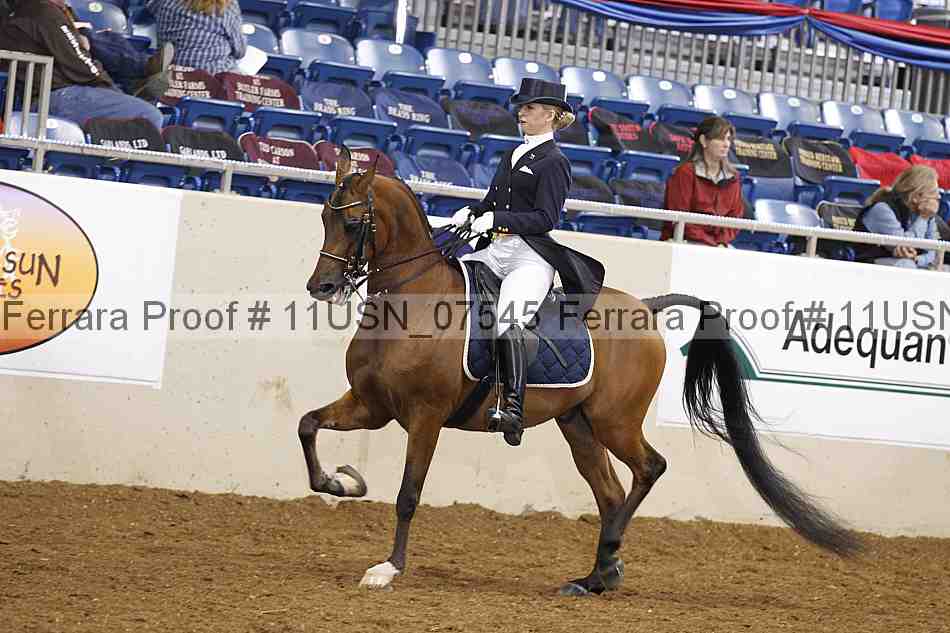 Proof 11usn_07545