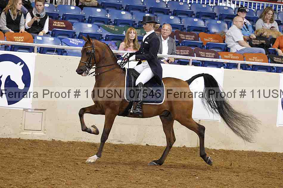 Proof 11usn_07546