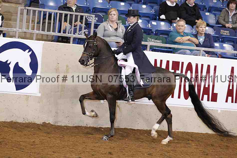 Proof 11usn_07553