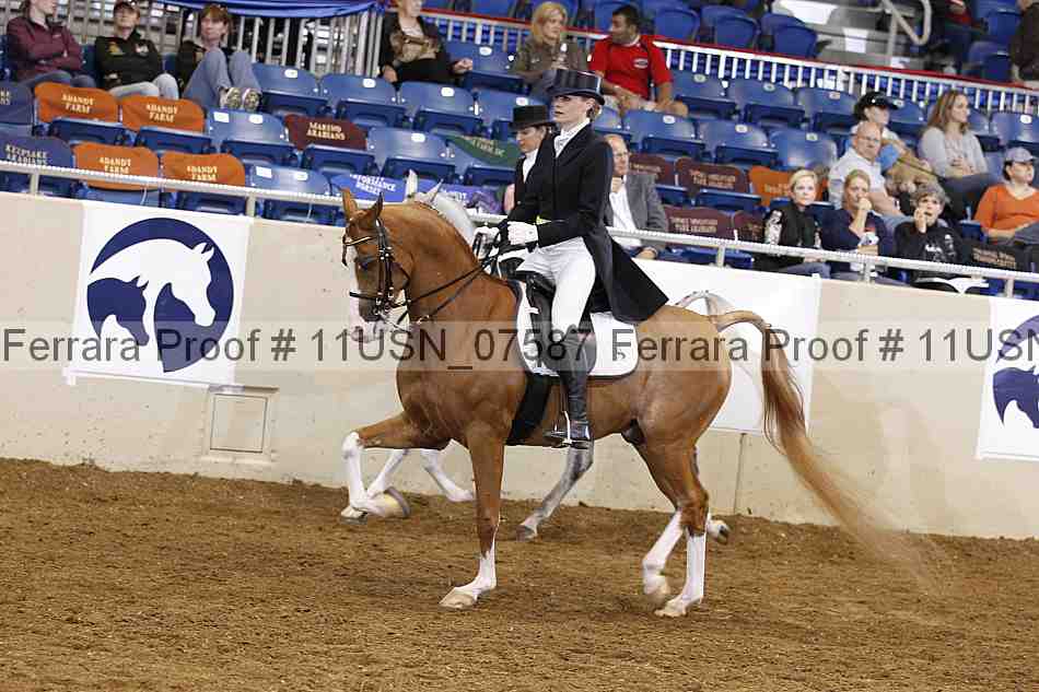 Proof 11usn_07587